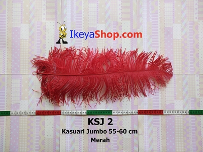 KSJ 2  large2